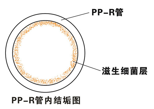 PP-R滲氧，易滋生細(xì)菌，有異味；腐蝕金屬連接件，降低使用壽命